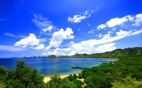 Landscape Nature Pier Forest Island Coast Indonesia