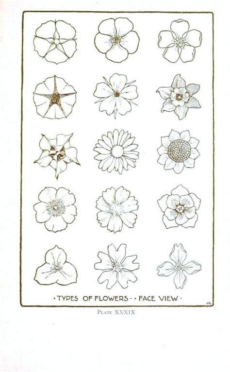 You'll also get a lead refill pack for each size, plus four eraser refills. Pin on tattoo idea's