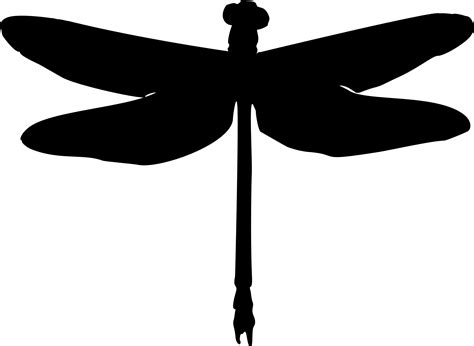 Dragonfly Silhouette Free Download On Clipartmag