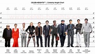 The Best 14 Height Comparison Chart Celebrities