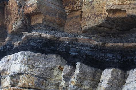 Coal Seam In The Cliffs Between Elie And Newark Castle Th Flickr