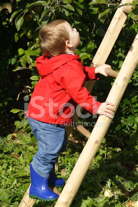 Boy Climbing Ladder Stock Photos