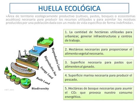 Verde Siglo 21 La Huella Ecológica
