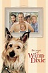 Because of Winn-Dixie (2005) — The Movie Database (TMDB)