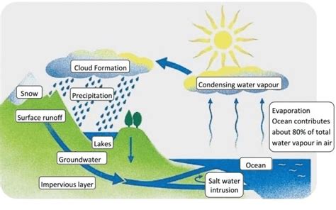 Ielts Task 1 The Diagram Below Shows The Water Cycle Images And
