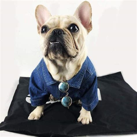 French Bulldog Corduroy Overalls Frenchie World