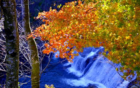 Natural Forest Waterfall Falls In Autumn Hd Quality Desktop Background