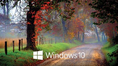 Windows 10 White Text Logo On The Forest Path Wallpaper Computer