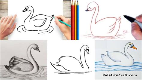Swan Drawing And Sketches For Kids Kids Art And Craft