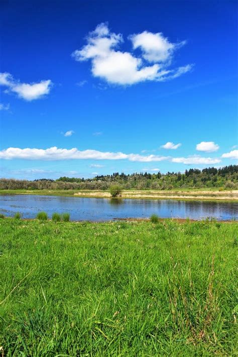 Scenic Lake View Stock Image Image Of Land Blue Scenery 69720297