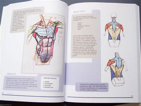 40670053013c4c3bb68eb How To Draw Human Figure Book Michael Hampton