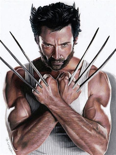 Wolverine Fanart 2 Drawing By Jasmina Susak