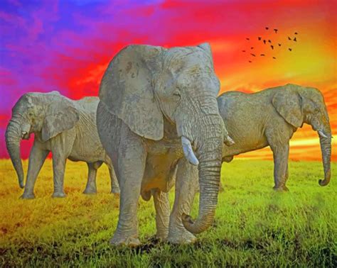 Safari Elephants Animals Paint By Numbers Canvas Paint By Numbers