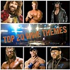 Top 20 WWE Theme Songs! | Wrestling Amino