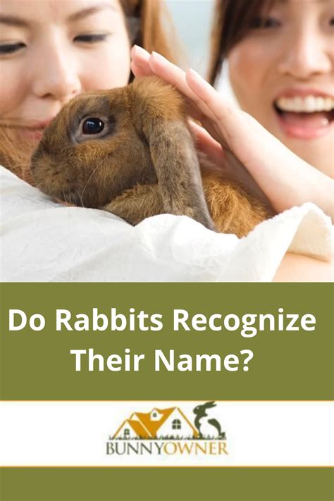 Do Rabbits Recognize Their Name Artofit