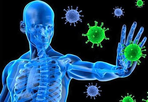 Super Charge Your Immune System Kramp Chiropractic