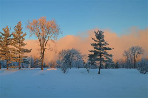 Wallpaper Sunlight Landscape Forest Sky Snow Winter