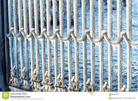 Ice Winter Frost Ice Floe Cold Fence Fence Railing Stock Photo