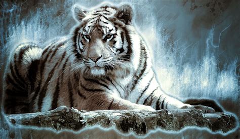 Cool Tiger Pictures