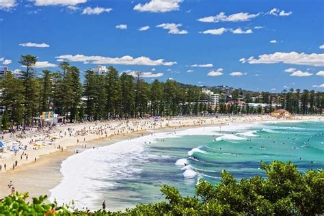 Sydneys Stunning Northern Beaches Private Tour Including