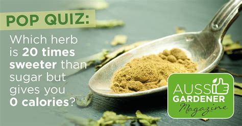Check spelling or type a new query. Aussie Gardener Blog Library - Aussie Gardener