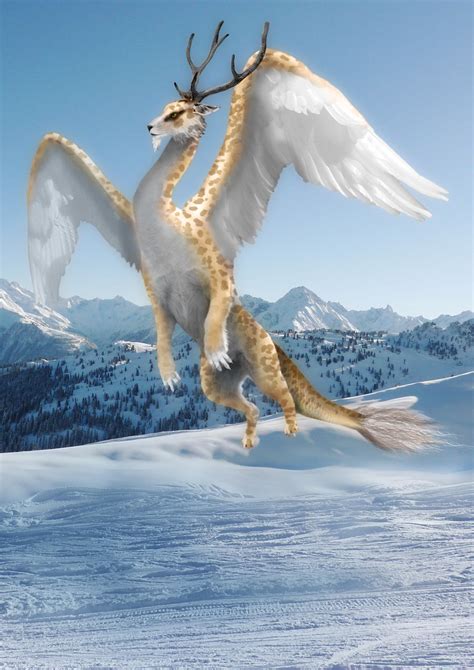 Snow Dragon By Weeredfrog On Deviantart