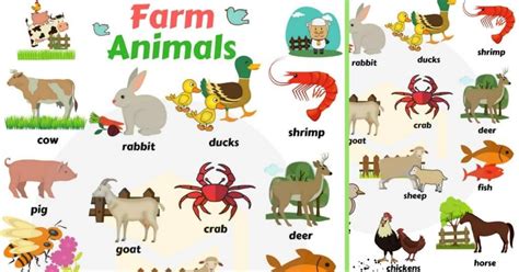 Farm Animals List Domestic Animals Names With Pictures 7esl