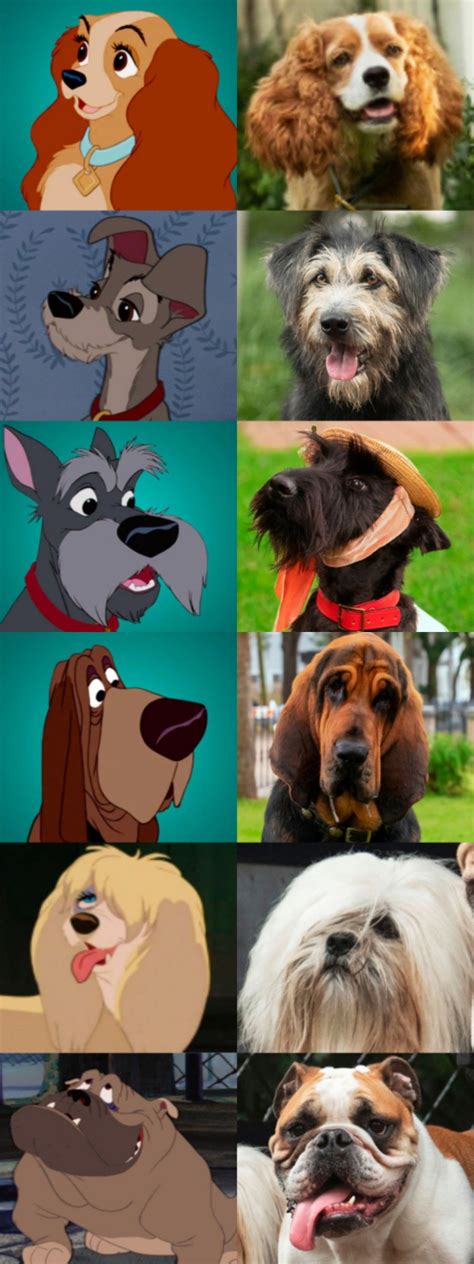 Lady And The Tramp 1955 Lady And The Tramp 2019 Disney Pixar