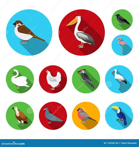 Types Of Birds Flat Icons In Set Collection For Design Home And Wild