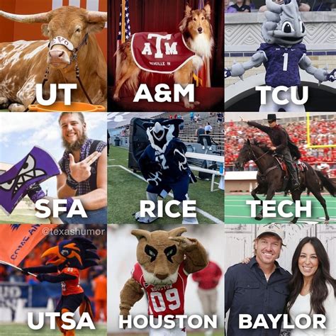 Texas Humor On Instagram “texas College Football Mascots A Guide
