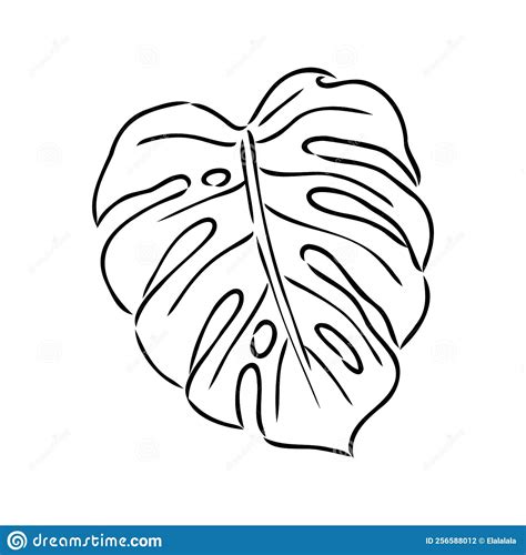 Exotic Monstera Continuous One Line Drawing Handmade Summer Tropical