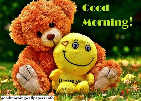 100 Cute Good Morning Teddy Bear Images 2023 Hd Photos Free Download
