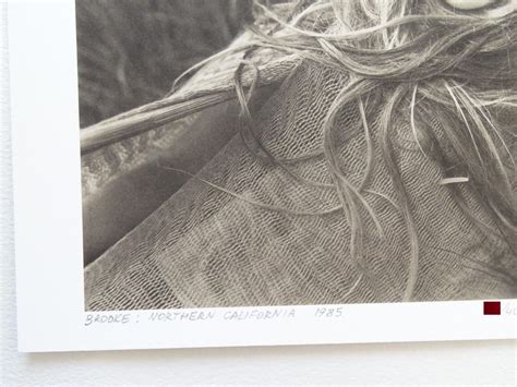 Sold Price Jock Sturges Photograph Hand Signed Numbered Invalid Date Cest