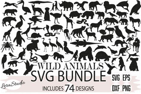 Wild Animals Svg Afbeelding Door Lerastudio · Creative Fabrica