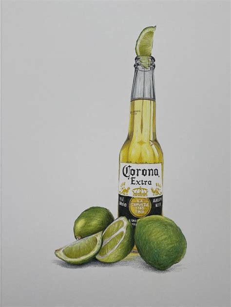 Corona Beer Drawing Drawing By Marie Noëlle Erasmus Saatchi Art