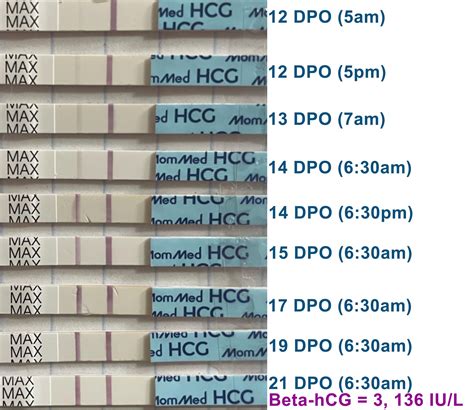 Progression 12 21 Dpo On Mommed And Frer Tests And First Beta Hcg For