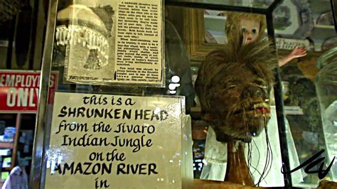 Shrunken Head From Jivaro Indian In The Amazon Youtube