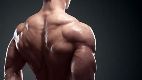 The Ultimate 7 Day Workout Plan And Routine Greatest Physiques