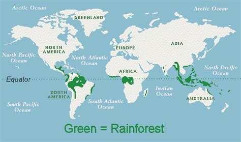 Fascinating Facts About The Amazon Rainforest