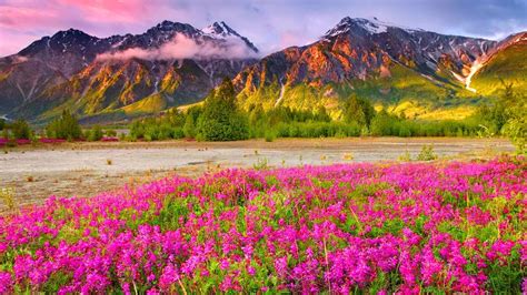 The Most Beautiful Scenery Wallpapers That You Will Simply Love To See