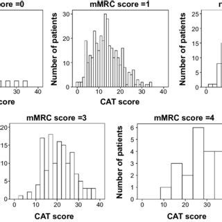 The copd assessment test, also known as the cat, is comprised of eight simple questions by which you rate both your symptoms and the level of while taking this test can't help you diagnose the disease, it's a great, free tool to use if you've been battling the condition that can help you monitor. (PDF) Discrepancies between modified Medical Research ...