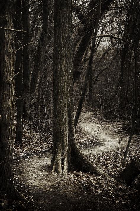 Dark Winding Path Photograph By Scott Norris Fine Art America