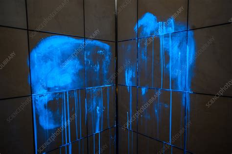 Luminol Used To Detect Blood 2013 Stock Image C0363631 Science