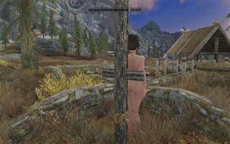 Zaz Animation Pack V Plus Page Downloads Skyrim Adult And Sex