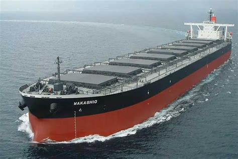 What Are Bulk Carriers Mind Blowing Facts Updated 2021