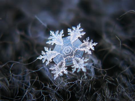 Real Snowflake A Photo On Flickriver