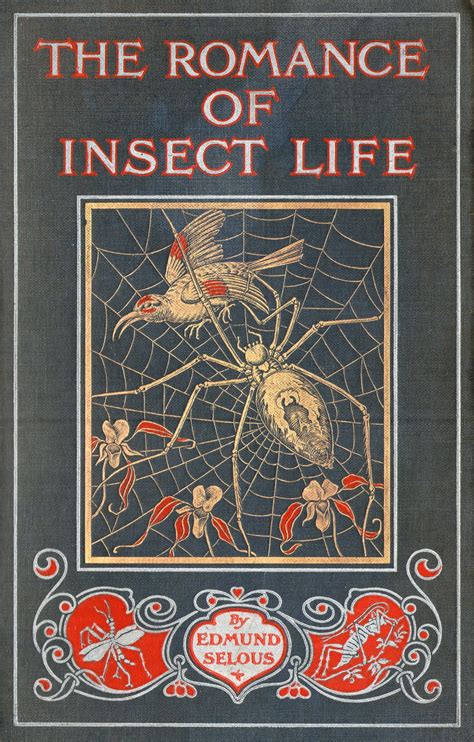 Old Books And Things — Beautiful Book Cover C1905 With Gilt Spider And