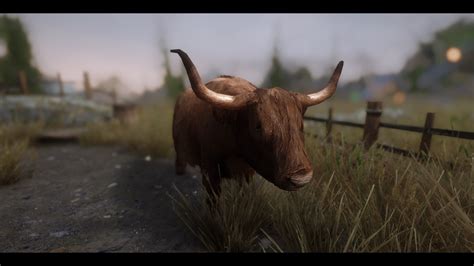 Mm Real Cows At Skyrim Nexus Mods And Community