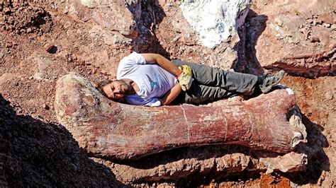 Biggest Dinosaur Ever Discovered In Argentina Geology In