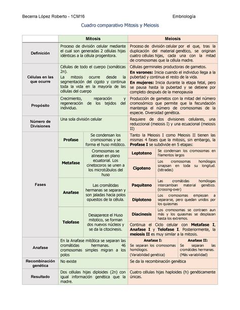 Tabla Comparativa Sobre Meiosis Mitosis Fases Y Características